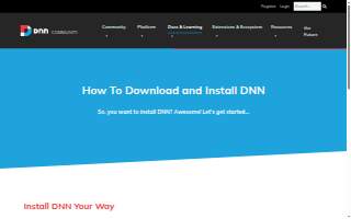 Dnn Veterinary Services website