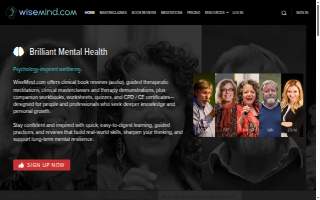 Wiseminds Electrical Contractors website
