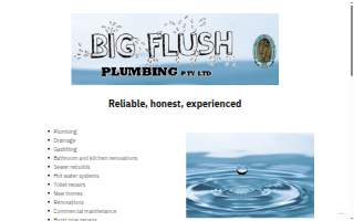Big Flush Plumbing website