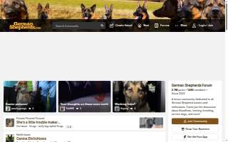 GSD Construction Services, LLC website