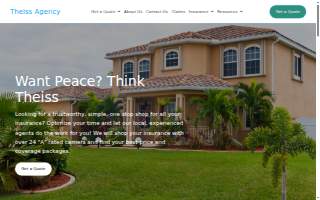 Theiss Agency website