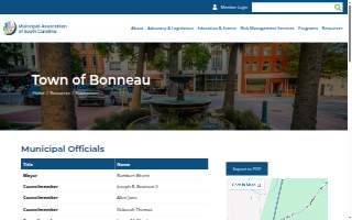 Bonneau Accounting Services website