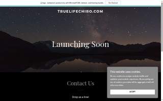 True Life Chiropractic website