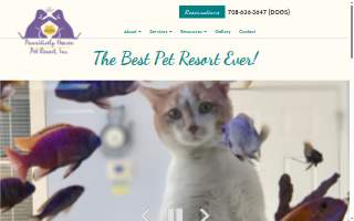 Pawsitively Pets Animal Hospital website
