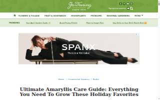 Amaryllis Hair Lounge website