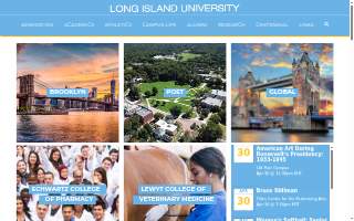 Liu & Associates P.C. website
