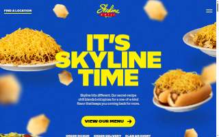 Skyline Events and Socials website