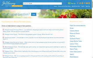 Pampas Steakhouse website