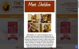 The Village Animal Hospital website