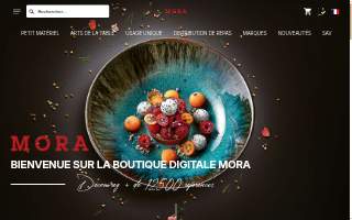 Mora website