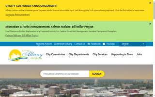 Albany Insurance Services website