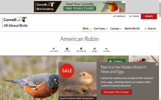 Robins Pharmacy website