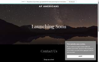 American Financial Advisors LLC website