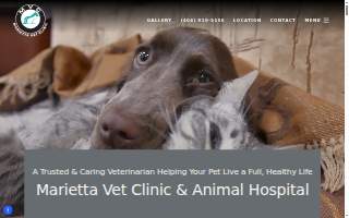 Marietta Vet Clinic website