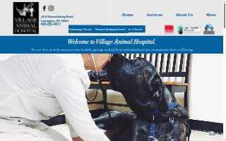 Village Animal Hospital website