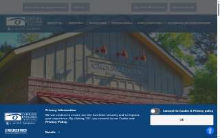 Carolina Eyecare Physicians - Summerville website