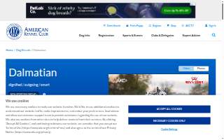 Dalmatian Plumbing website