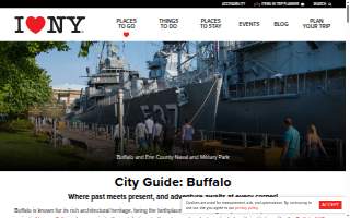 Buffalo Transportation and Logistics LLC website