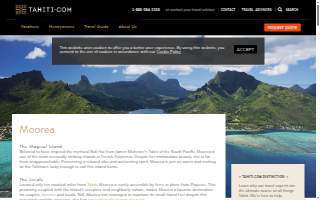 Morea Studio website