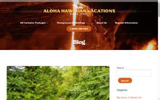 Aina 1 Plumbing website