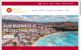 Finance Insurance, Ltd: Louis Fernandez website
