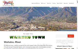 Wailuku Plumbing website