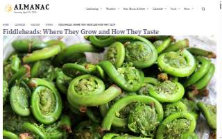 Fiddlehead Restaurant website