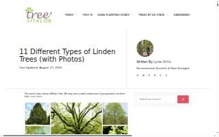 Linden Family Chiropractic and Rehab website