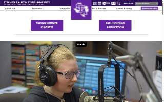 SFA Inc. - Sarah E Ferreter CPA website