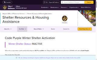 Shelter Insurance - Marvin Boyer website