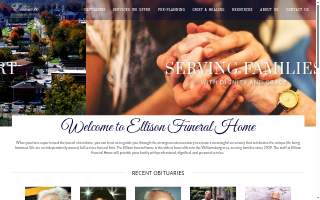 Elison Financial Group, LLC website