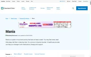 Manic Mechanic website