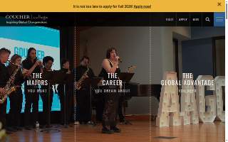 Goucher Group, LLC website