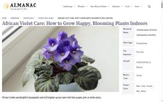 Violets Office QuickBooks Bookkeeping, Payroll website