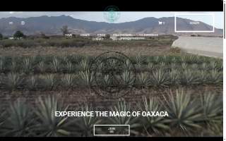 T.O. Missions website