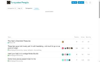 Turquoise Wealth Management website