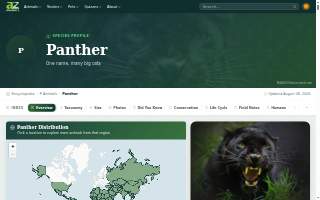 Panther Lawn Care website
