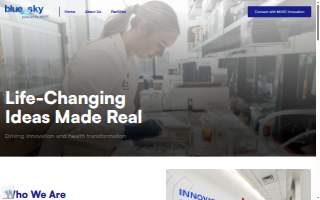 Blue Sky Labs website
