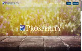 Holy City Prosperity | Fayetteville Financial Advisor website