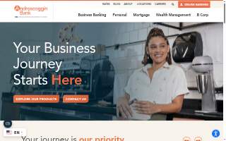 Androscoggin Financial Services website