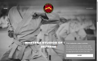 Masters Studios Of Self Defense website