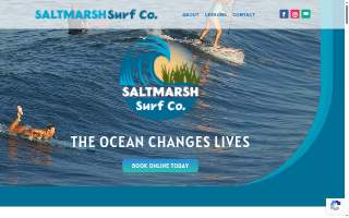 Salt Marsh Surf Co website