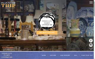 Terrace Oaks Antique Mall website
