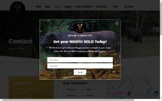 Stud Wagyu Auction website