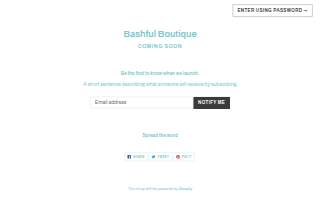 Bashful Boutique website