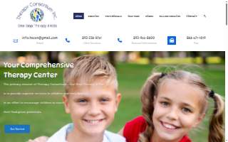 One Stop Therapy 4 Kids website