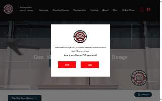 Bullseye Bill's Guns & Ammo website