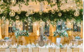 Loluma website