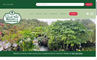 Local Boy Nursery website