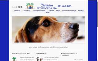 Bright Horizons at San Mateo website
